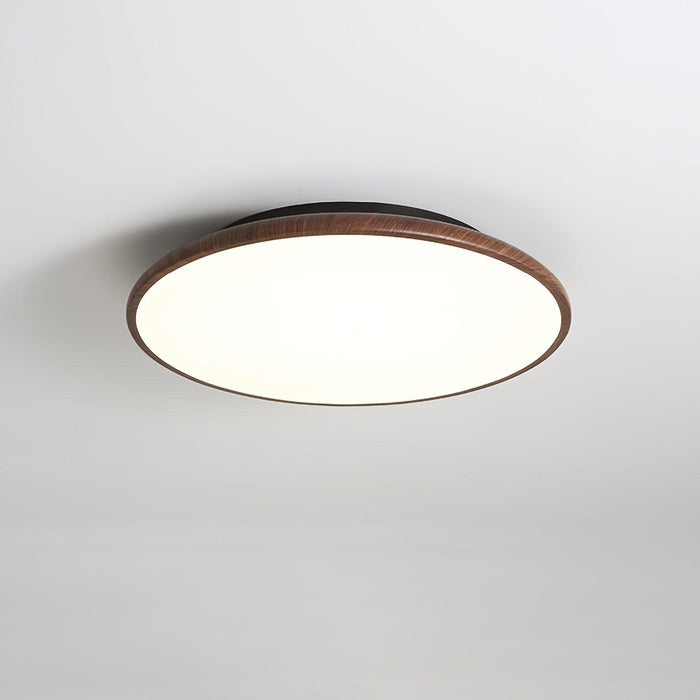 Thin Geometry Shape Ceiling Lamp - DWHOME