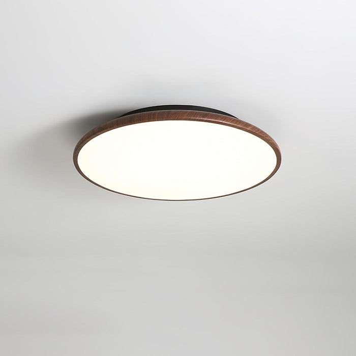 Thin Geometry Shape Ceiling Lamp - DWHOME