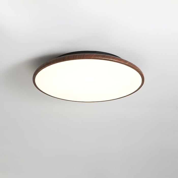 Thin Geometry Shape Ceiling Lamp - DWHOME