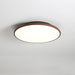 Thin Geometry Shape Ceiling Lamp.