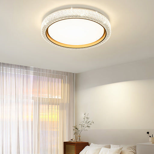 Thin Round Ceiling Lamp.