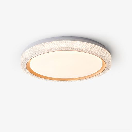 Thin Round Ceiling Lamp.