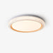 Thin Round Ceiling Lamp - DWHOME