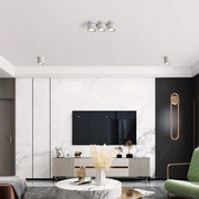 Three-heads Rotating Folding Ceiling Lamp-DWHOME