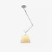 Rotatable Ceiling Pendant Light - Vakkerlight