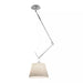 Rotatable Ceiling Pendant Light - Vakkerlight