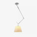 Rotatable Ceiling Pendant Light-DWHOME