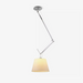 Rotatable Ceiling Pendant Light.