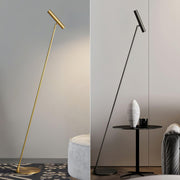 Tom LED Floor Lamp-DWHOME
