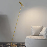 Tom LED Floor Lamp-DWHOME
