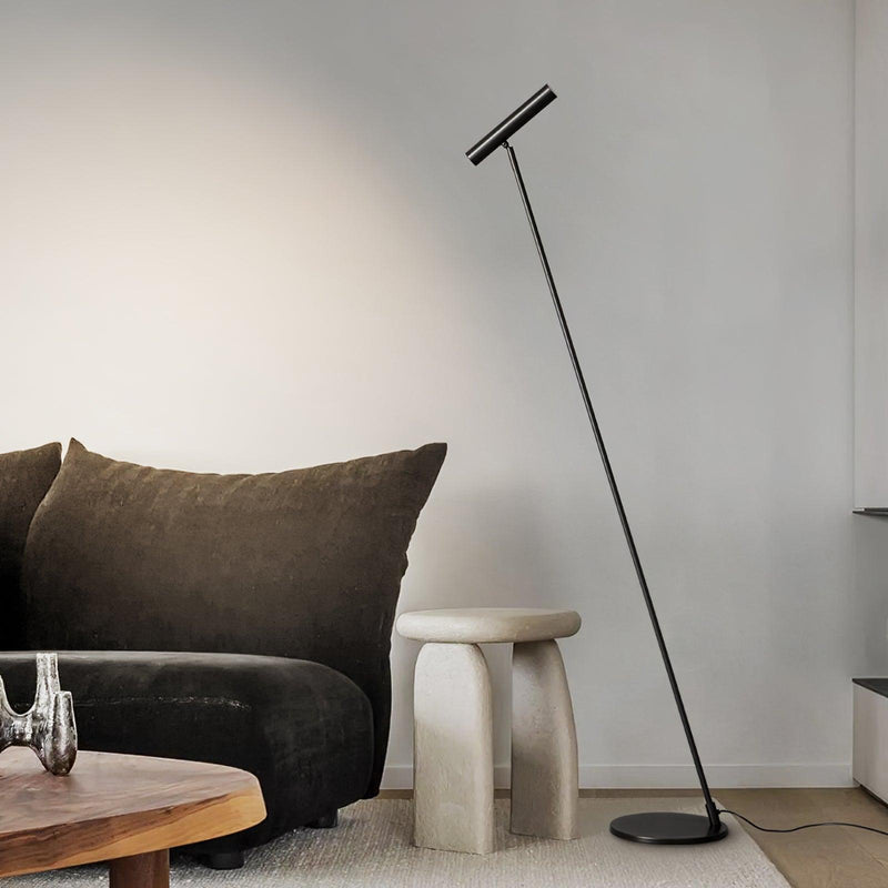 Tom LED Floor Lamp-DWHOME