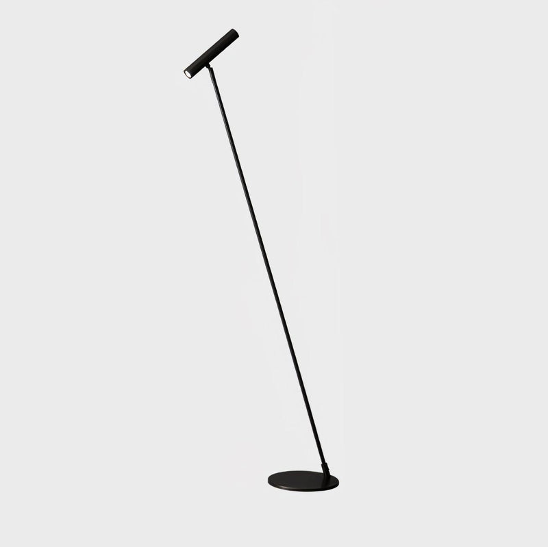 Tom LED Floor Lamp-DWHOME