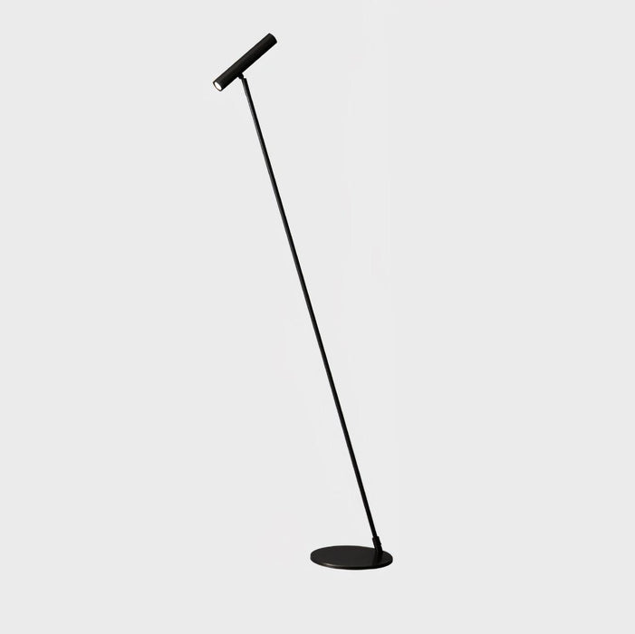 Tom LED Floor Lamp.