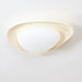 Tonia Ceiling Lamp-DWHOME