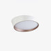 Toronto Ceiling Lamp - DWHOME