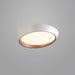 Toronto Ceiling Lamp - DWHOME