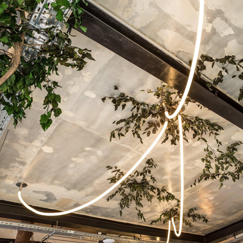 Flexible Curve Pendant Lamp-DWHOME