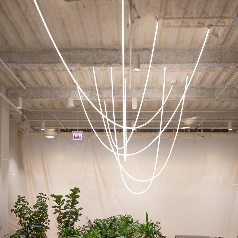 Flexible Curve Pendant Lamp-DWHOME