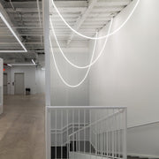 Flexible Curve Pendant Lamp-DWHOME
