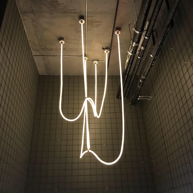 Flexible Curve Pendant Lamp-DWHOME