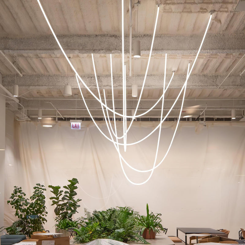 Flexible Curve Pendant Lamp-DWHOME
