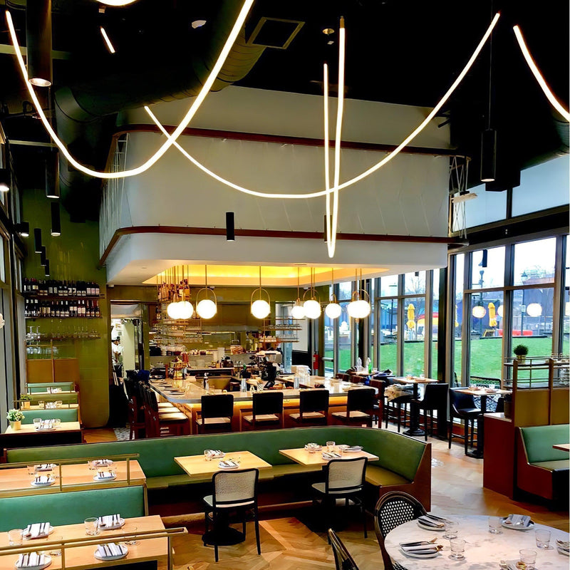 Flexible Curve Pendant Lamp-DWHOME