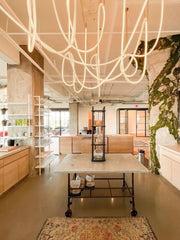 Flexible Curve Pendant Lamp-DWHOME