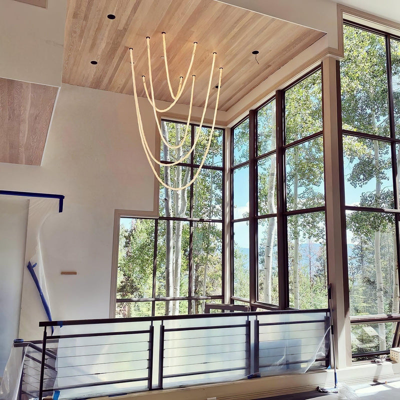 Flexible Curve Pendant Lamp-DWHOME