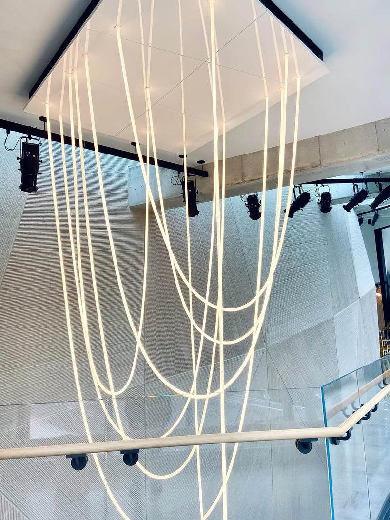 Flexible Curve Pendant Lamp-DWHOME