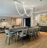 Flexible Curve Pendant Lamp-DWHOME