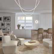 Flexible Curve Pendant Lamp-DWHOME