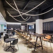 Flexible Curve Pendant Lamp-DWHOME