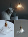 Transparent Crystal Pendant Light-DWHOME