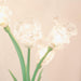 Tulip Flower Table Lamp-DWHOME
