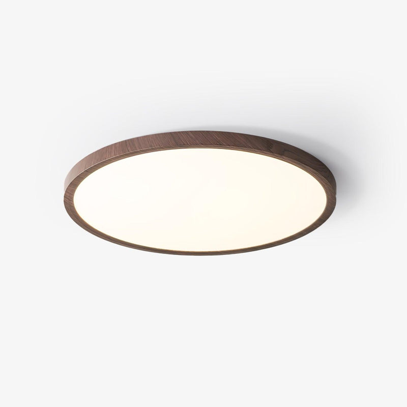 Ultrathin Round Ceiling Light-DWHOME