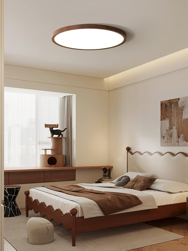 Ultrathin Round Ceiling Light-DWHOME