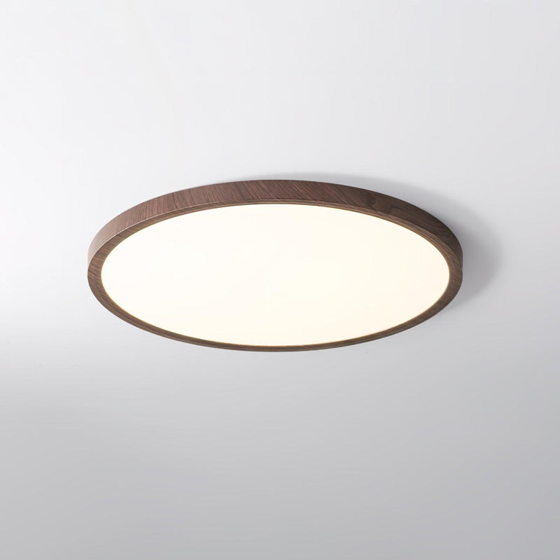 Ultrathin Round Ceiling Light-DWHOME