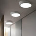 VILHELMINA Inclined Elliptical Ceiling Light.