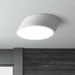 VILHELMINA Inclined Elliptical Ceiling Light.