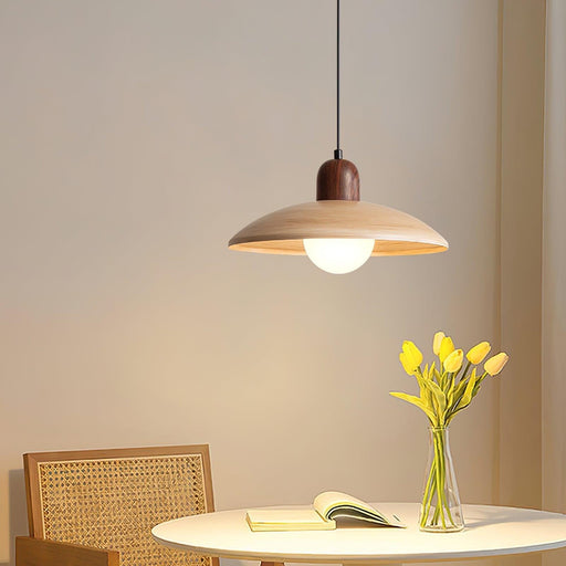 Valencia Pendant Light - DWHOME