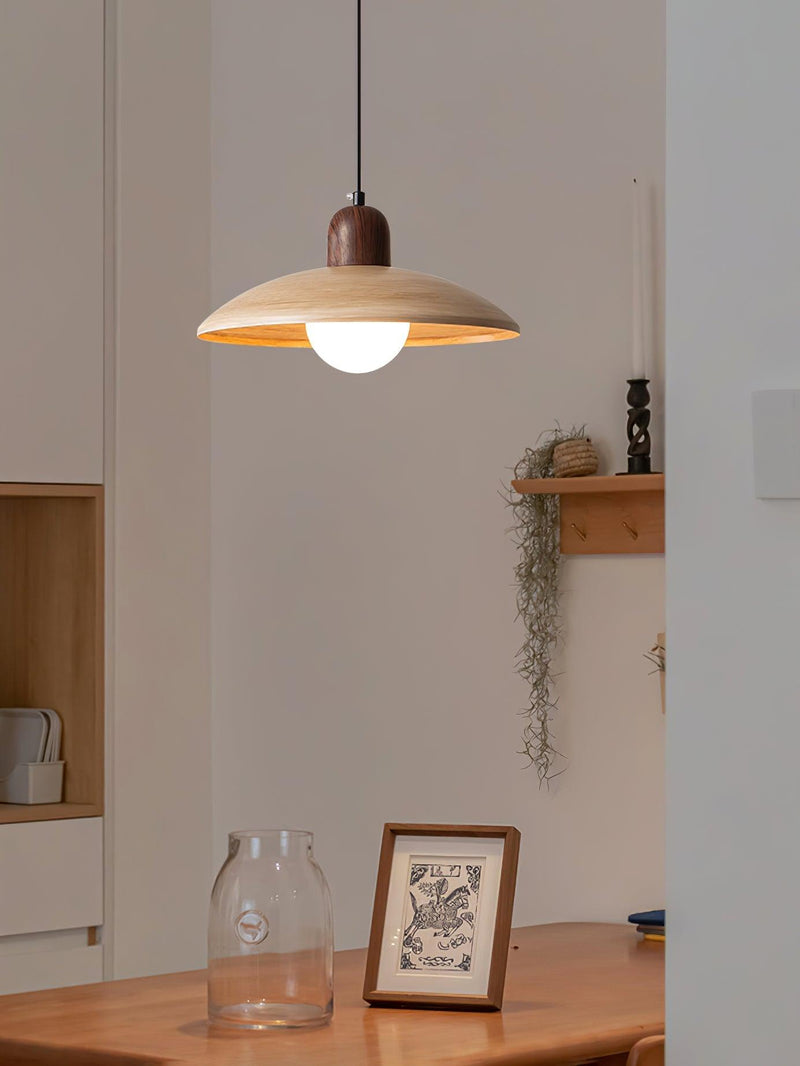 Valencia Pendant Light-DWHOME