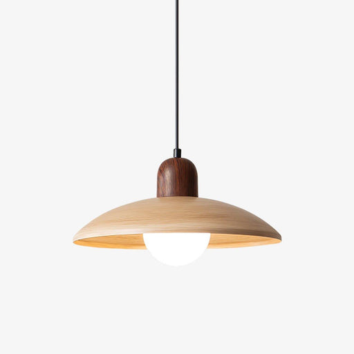 Valencia Pendant Light - DWHOME