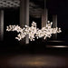 Grape Bunch Chandelier-DWHOME