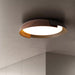 Vikaey Ceiling Light.