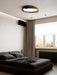 Vikaey Ceiling Light.