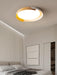 Vikaey Ceiling Light.