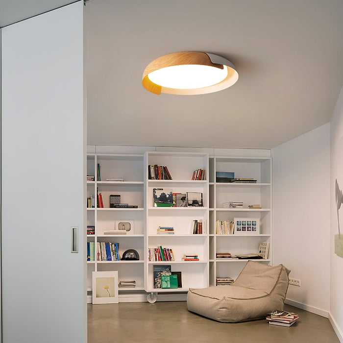 Vikaey Ceiling Light.