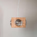 Camera Pendant Lamp.