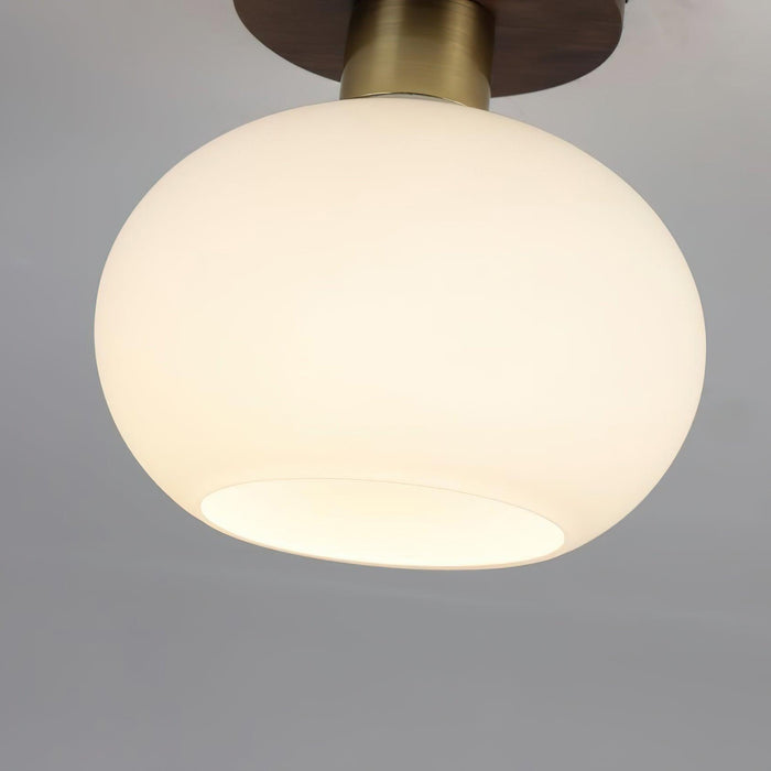 White Shell Ceiling Lamp - DWHOME