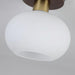 White Shell Ceiling Lamp.